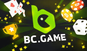 Comprehensive Guide to BC.Game India Contact Details -801844433