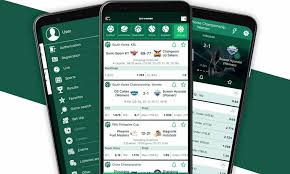 Comprehensive Review of BetWinner Customer Support System
